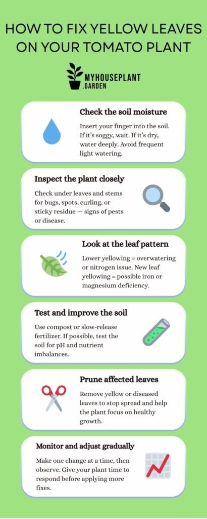 Infographic showing how to fix yellow tomato leaves, with six illustrated steps: checking soil moisture, inspecting the plant, analyzing leaf patterns, improving soil, pruning affected leaves, and making gradual adjustments.
